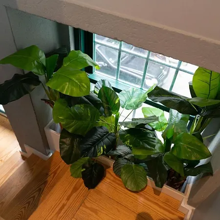 Apartment Clerigos Townhouse By Pch *