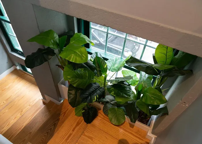 شقة Clerigos Townhouse By Pch *